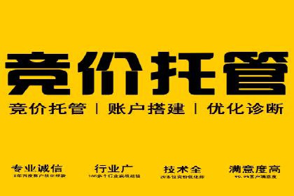 如何做SEM：从案例看策略制定与实施